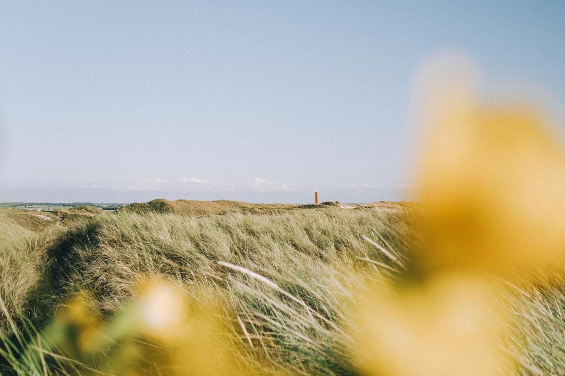 Vakantiehuis Beau - Julianadorp Aan Zee Экстерьер фото